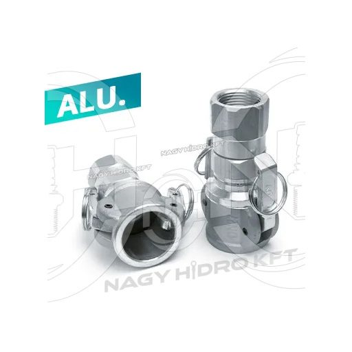 DN25 1" BSP RACORD/CUPLA BETON ROTATIV, CU STUT, MAMA - BT-FB2501