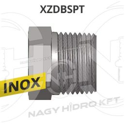 1" DOP INCHIDERE INOX BSPT - XZDBSPT-01