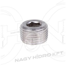 1" DOP INCHIDERE BSPT CAP IMBUS - ZDBSPTI-01